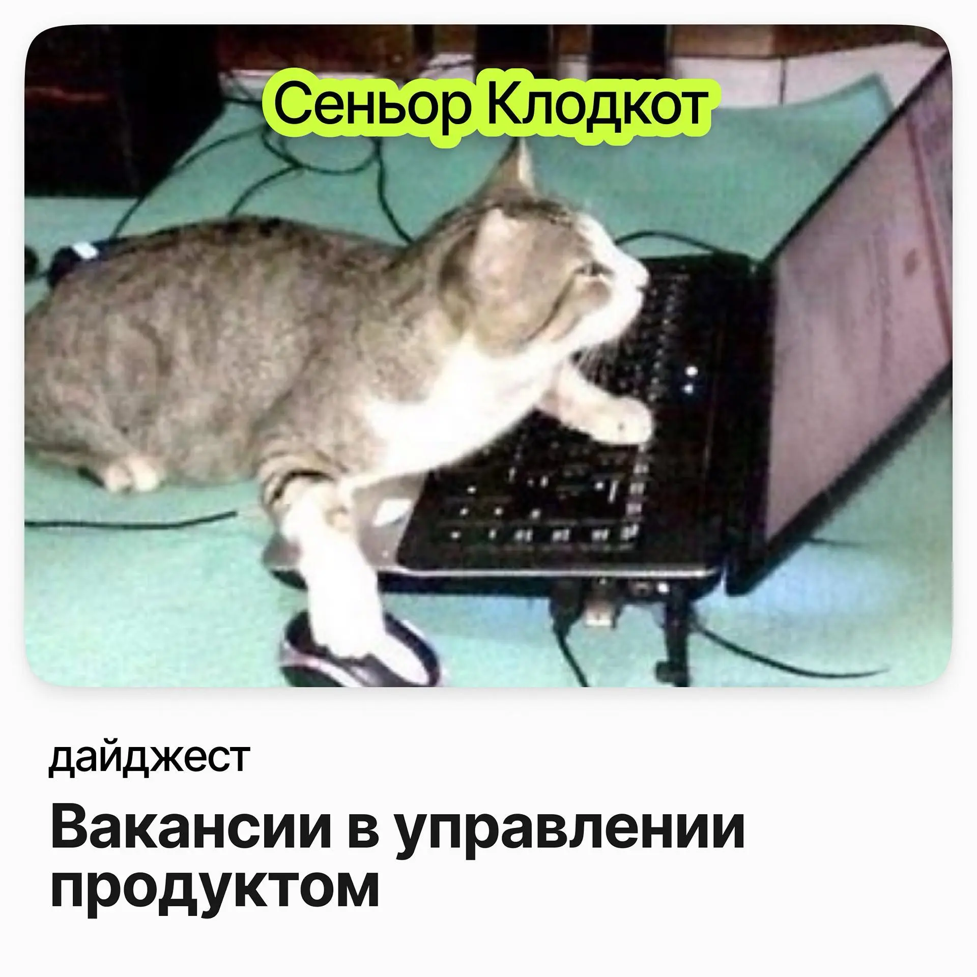 💼💼💼Вакансии в управлении продуктом
Владелец продукта (Казначейство) / СИБУР
Зарплата: до 468 000 ₽ /на руки
Подробнее
Product manager Hardware (KVADRA) / YADRO
Зарплата: от 346 000 ₽ /на руки
Подробне... | Сетка — социальная сеть от hh.ru