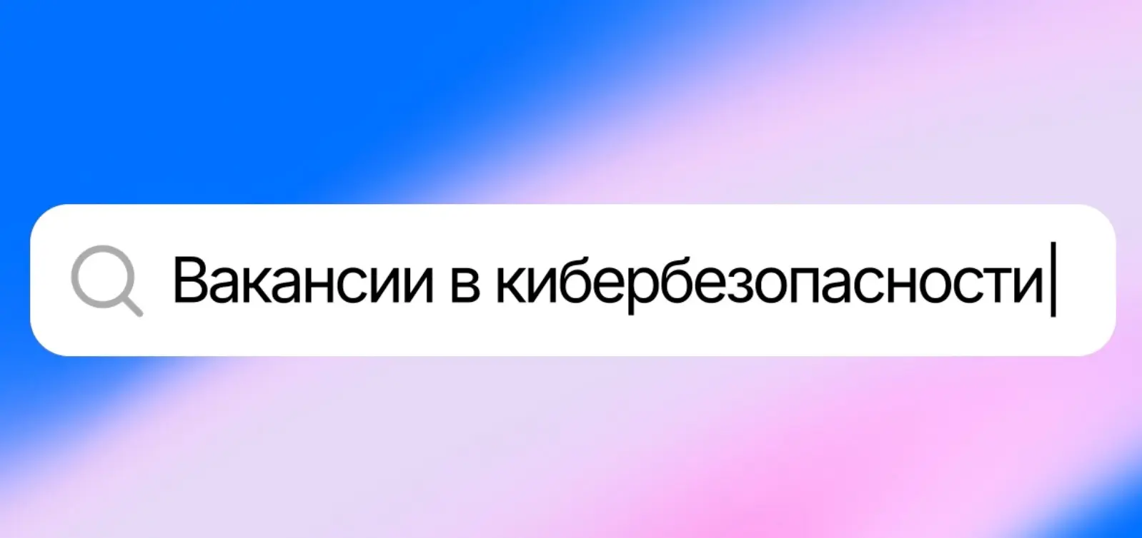 Вакансии для тех, кто стоит на страже безопасности ⚔️ | Сетка — социальная сеть от hh.ru