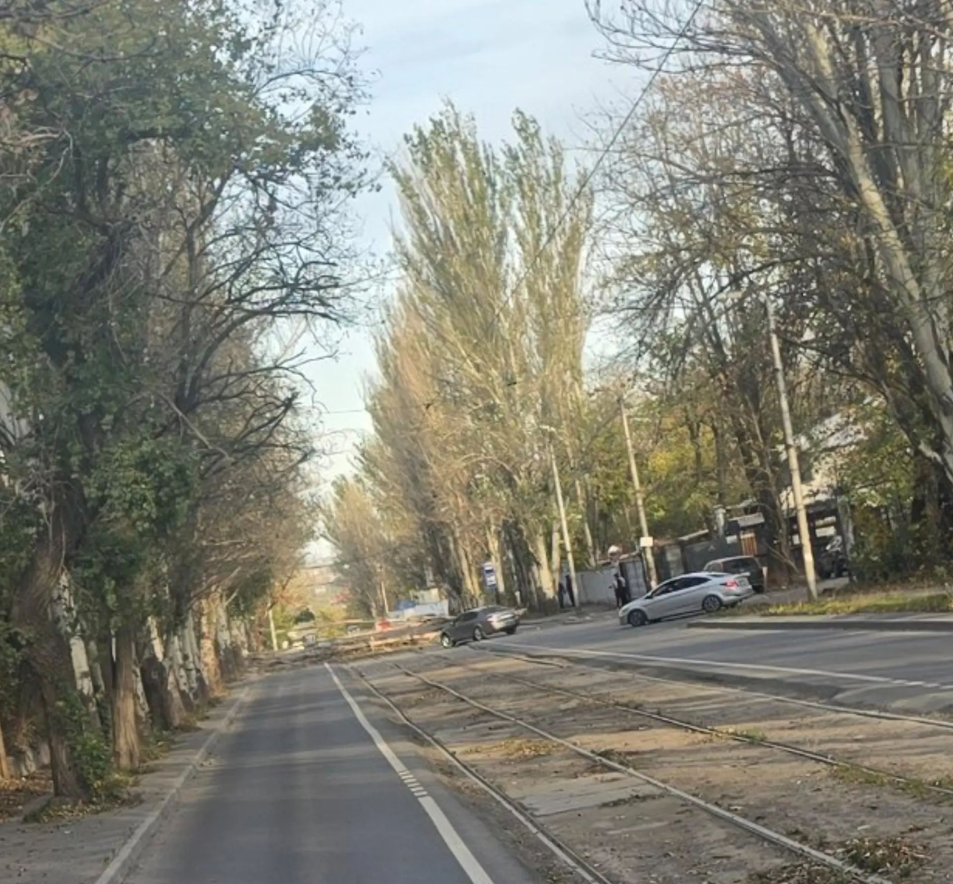 На Краснооктябрьской дерево перегородило дорогу
Две полосы,дерево метров 15 | Сетка — социальная сеть от hh.ru