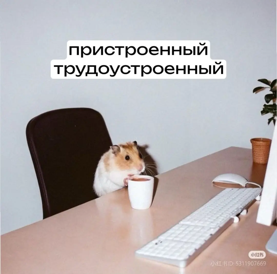 Коллеги, а поделитесь ссылками на тематические чаты, если у вас есть такие. Это могут быть чаты с отдельными профессиями или областями | Сетка — социальная сеть от hh.ru