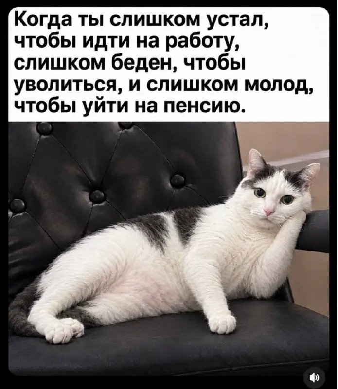 Кто зажат в те же тиски, маякните ☺️, это анонимно 😉 | Сетка — социальная сеть от hh.ru