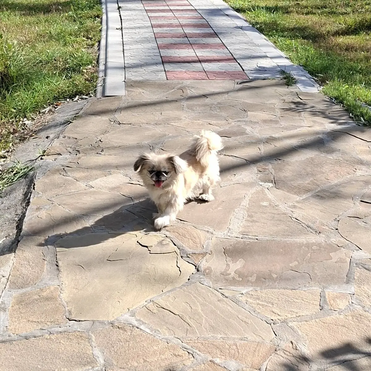 Нина Куликова