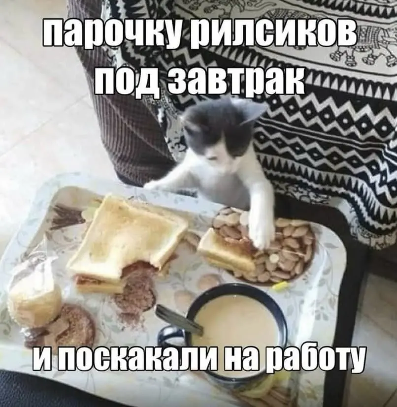 Я использую свою Сетку как мем паблик | Сетка — социальная сеть от hh.ru