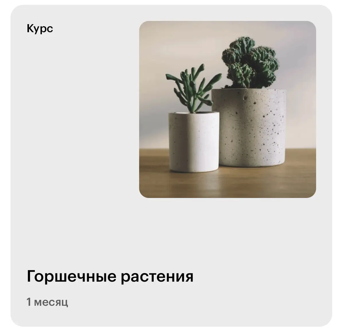 Что вы знаете о нишевых курсах? | Сетка — социальная сеть от hh.ru