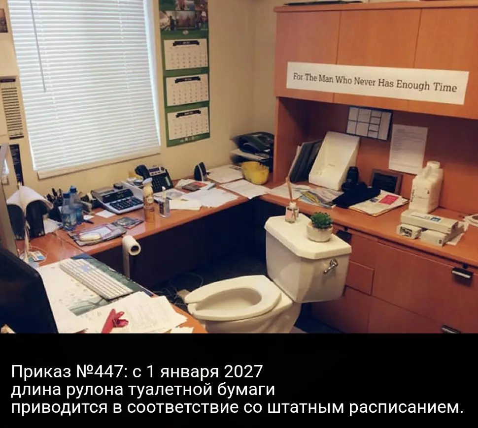 Приказ #447 | Сетка — социальная сеть от hh.ru