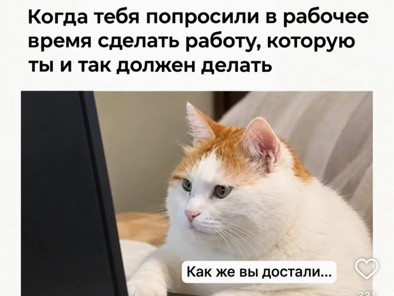Непосильный труд 😂
БЛОГ В ТГ / БЛОГ В MAX
#Юмор #Коты
В этом посте были ссылки, но мы их удалили по правилам Сетки | Сетка — социальная сеть от hh.ru