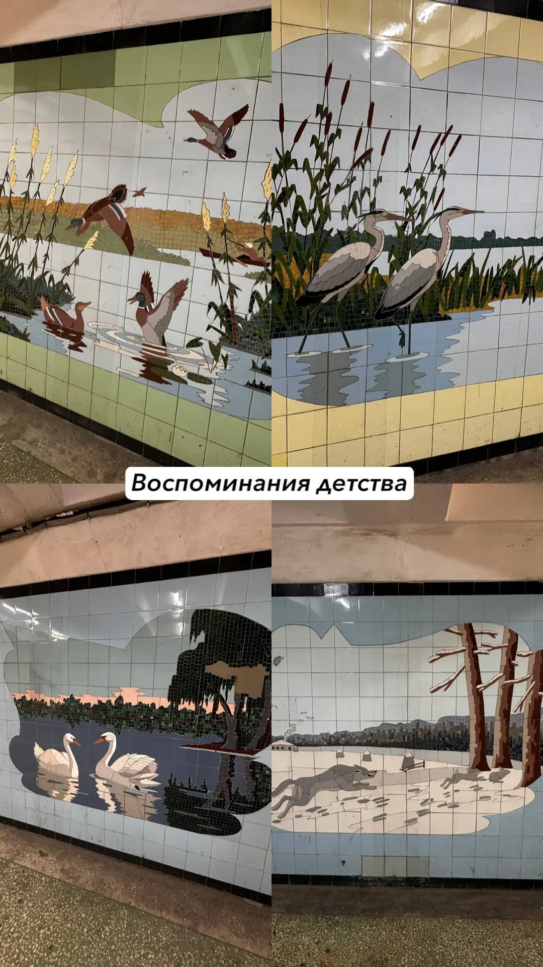 Воспоминания 😌 | Сетка — социальная сеть от hh.ru