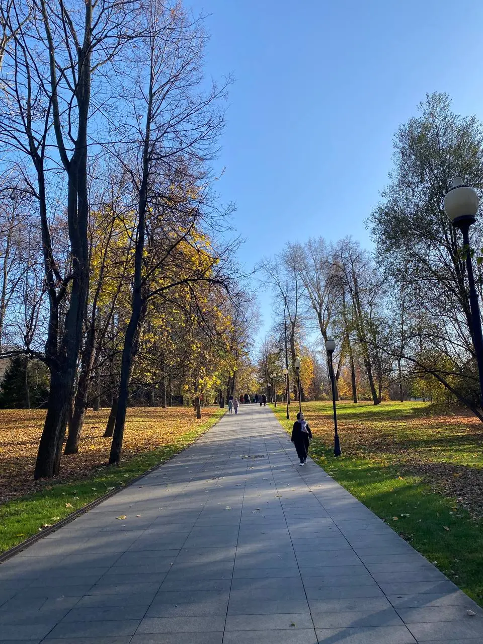 Moscow🕊️ | Сетка — социальная сеть от hh.ru