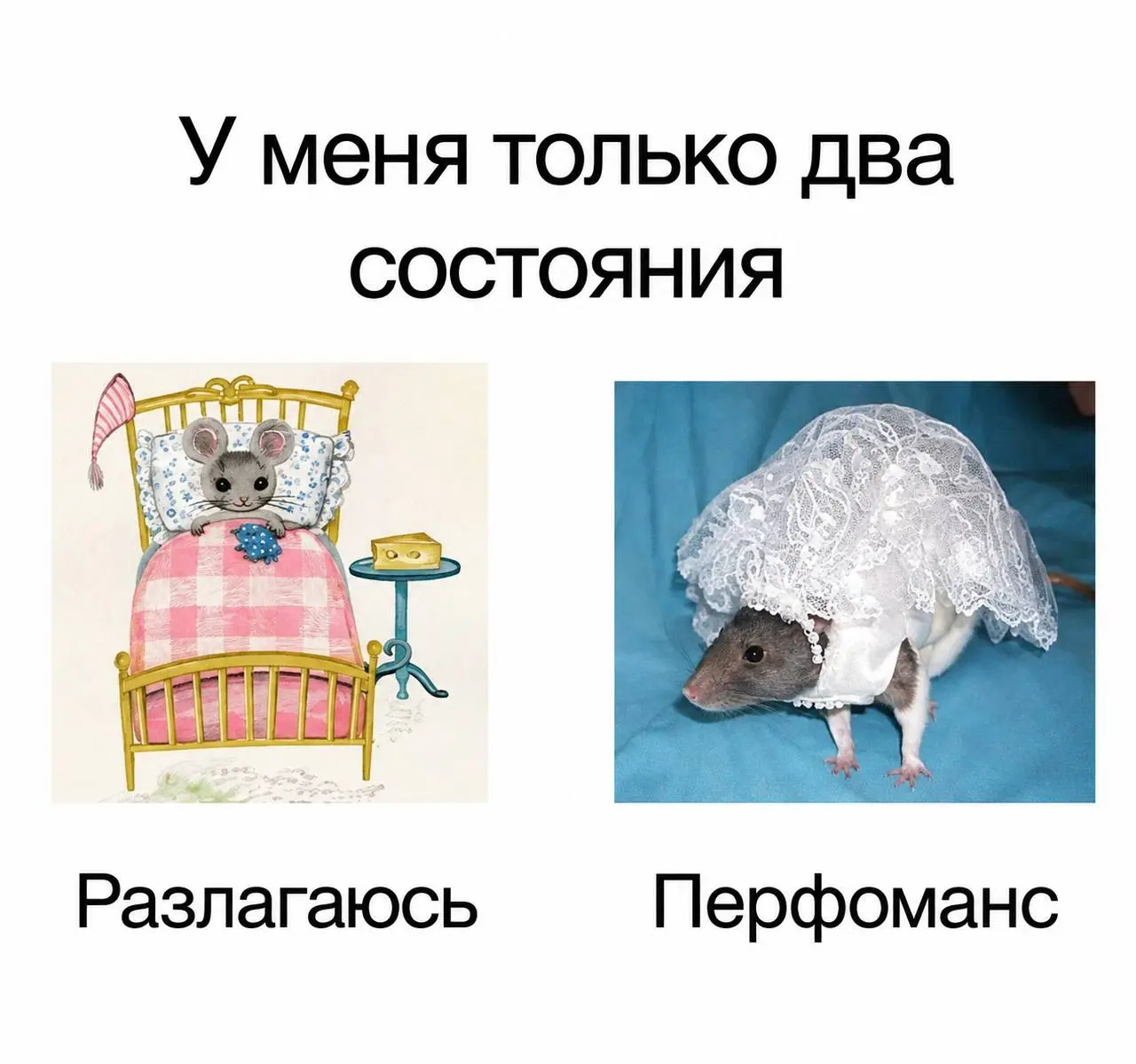 С пятницей! 👍 | Сетка — социальная сеть от hh.ru