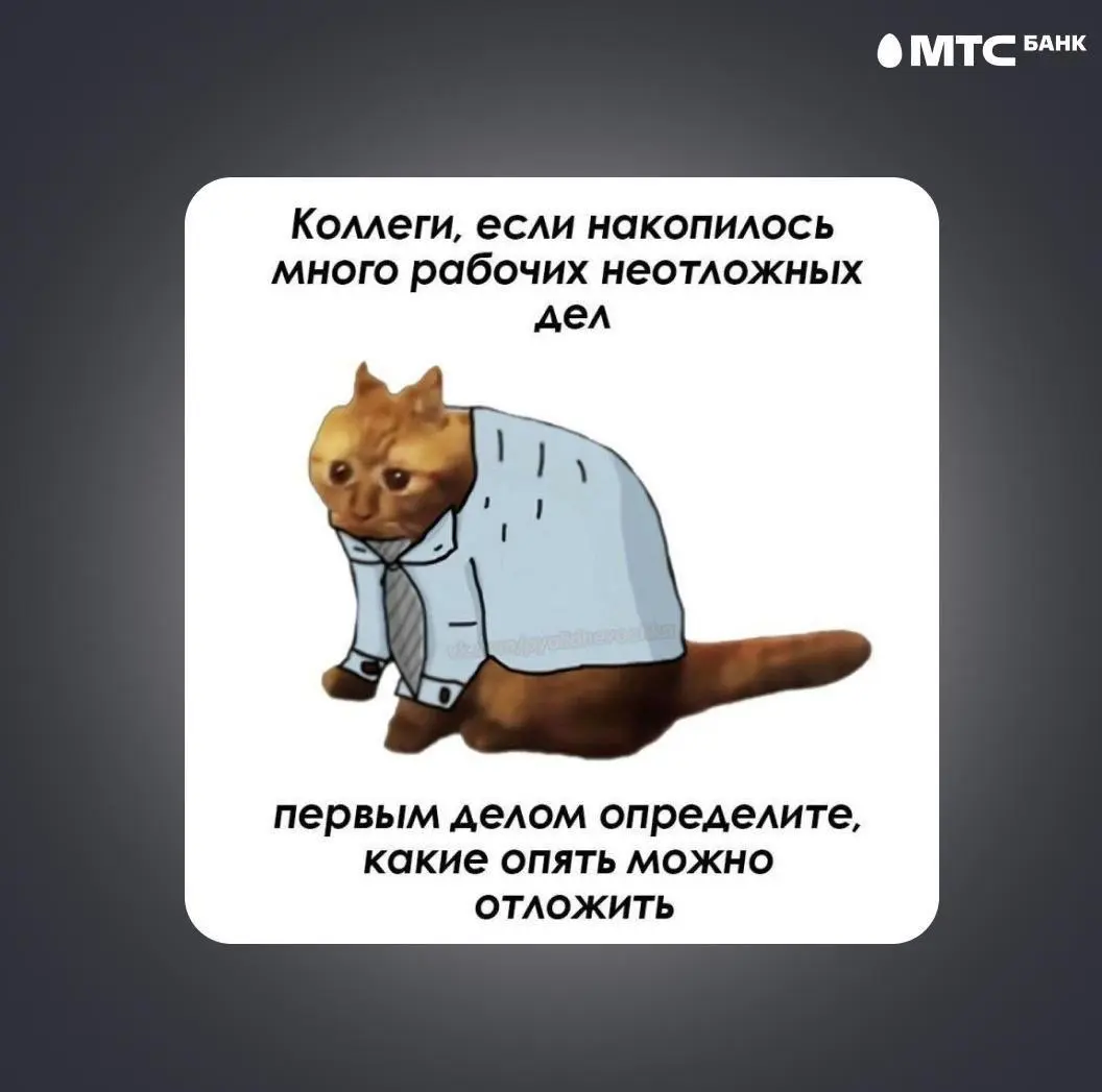 Искали медь, а нашли золото 🤌️️️️️️ | Сетка — социальная сеть от hh.ru