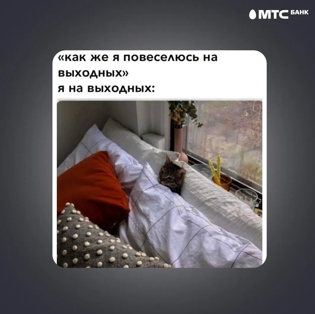 Искали медь, а нашли золото 🤌️️️️️️ | Сетка — социальная сеть от hh.ru