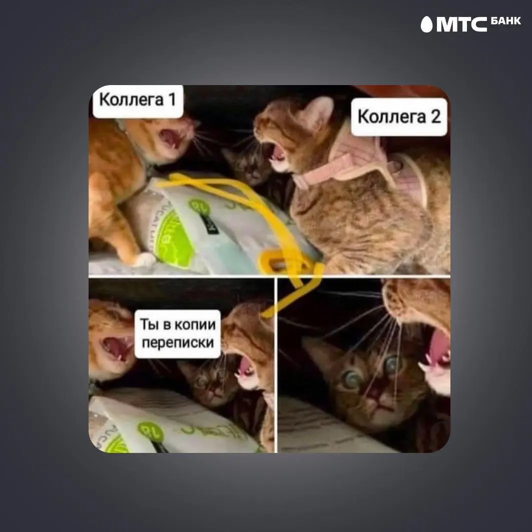 Искали медь, а нашли золото 🤌️️️️️️ | Сетка — социальная сеть от hh.ru