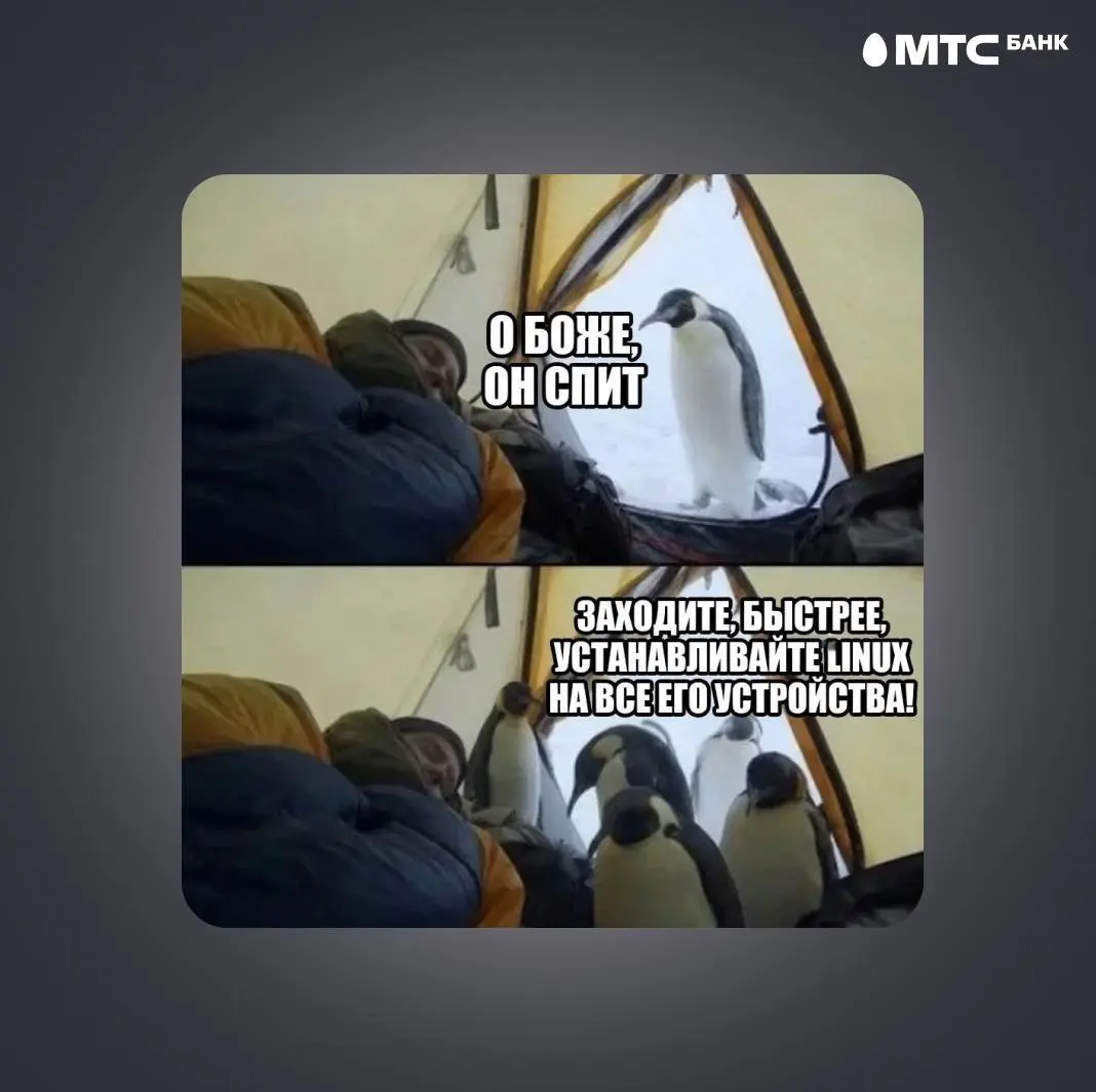 Искали медь, а нашли золото 🤌️️️️️️ | Сетка — социальная сеть от hh.ru