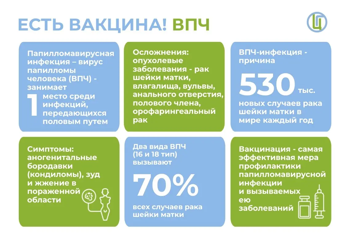 📱 Вакцинация против ВПЧ станет доступна бесплатно по всей России: что нужно знать?
Президент поручил Минздраву России официально включить прививку от вируса папилломы человека (ВПЧ) в Национальный кал... | Сетка — социальная сеть от hh.ru