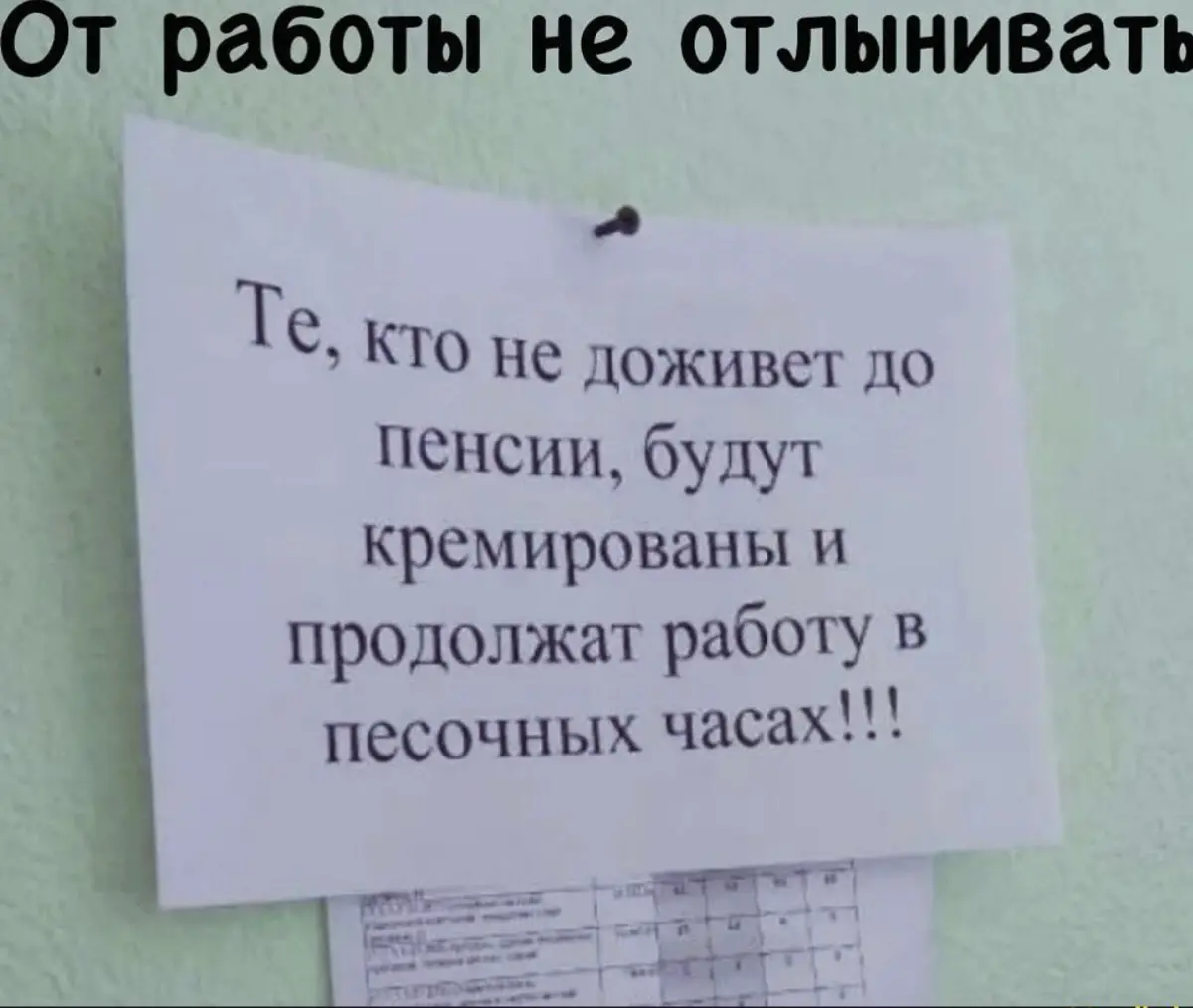 Спиз. в Линк. Специально. для вас. В пятницу. Не благодарите
#handshunter
#кадрырешают | Сетка — социальная сеть от hh.ru