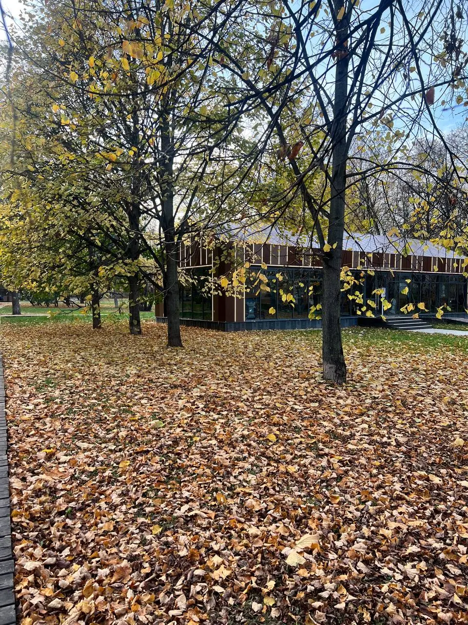 🍂 Пятничное. Наш мастермайнд уже в понедельник, 2 ноября. | Сетка — социальная сеть от hh.ru