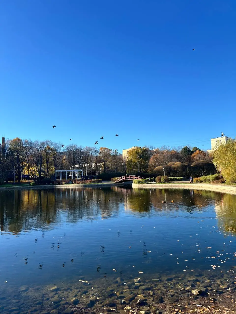 🍂 Пятничное. Наш мастермайнд уже в понедельник, 2 ноября. | Сетка — социальная сеть от hh.ru