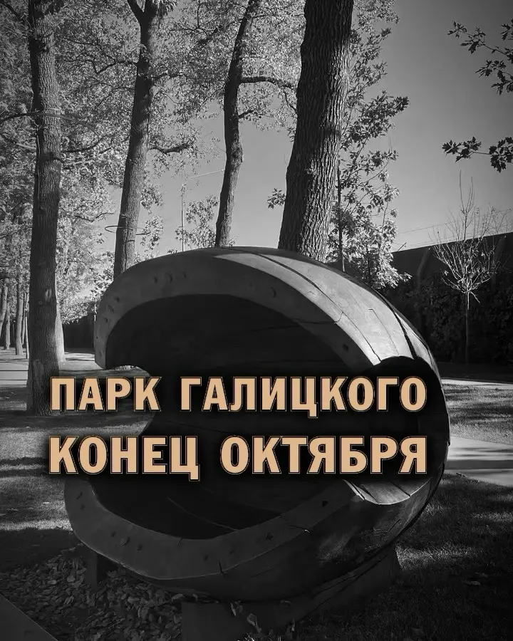 🍁 Парк Галицкого в конце октября | Сетка — социальная сеть от hh.ru