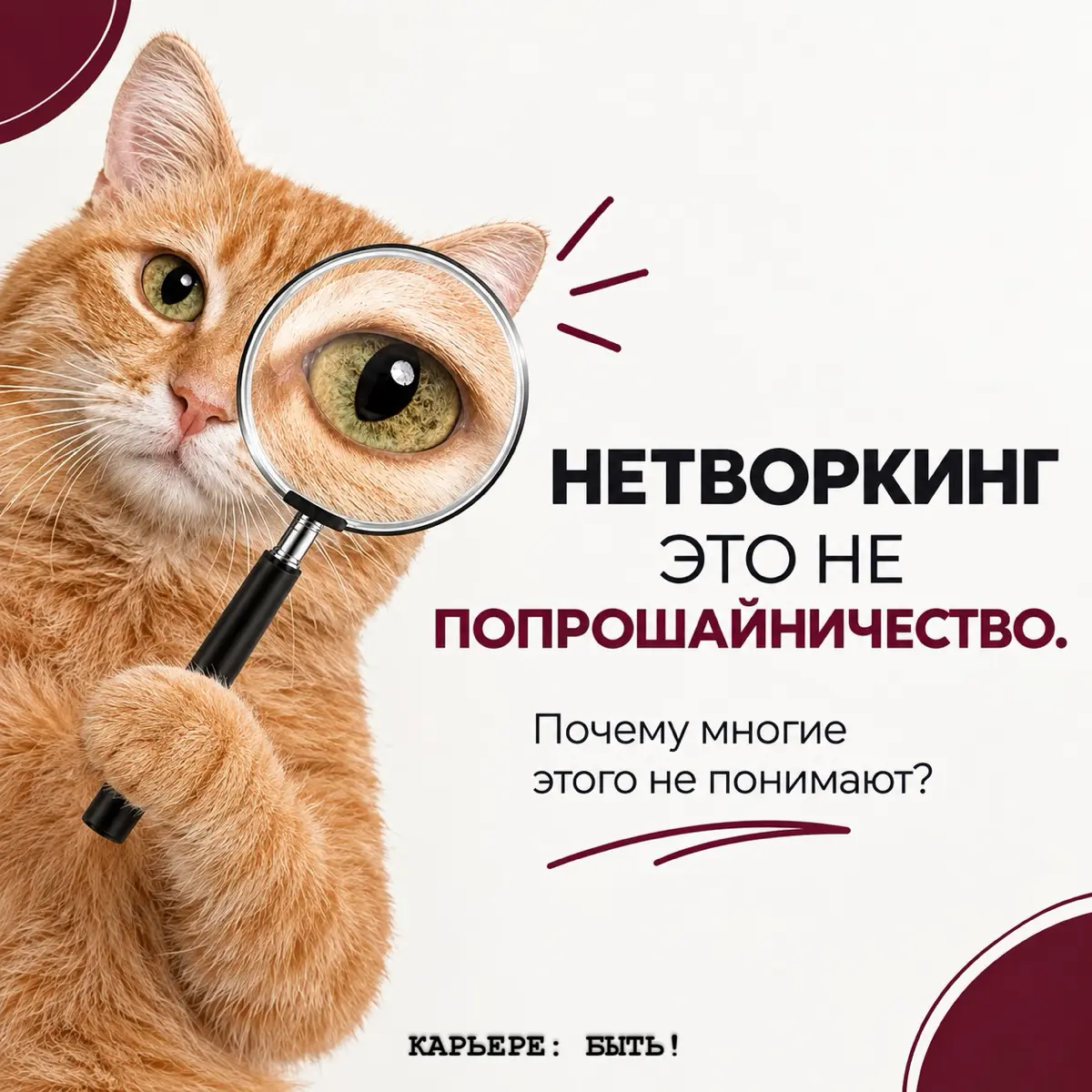 НЕТВОРКИНГ ЭТО НЕ ПОПРОШАЙНИЧЕСТВО | Сетка — социальная сеть от hh.ru