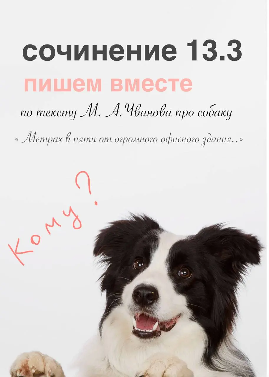 9 класс
Подготовка к сочинению 13 | Сетка — социальная сеть от hh.ru