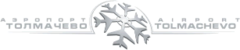 company logo