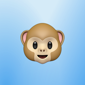 Евгений Ступников | Сетка — социальная сеть от hh.ru