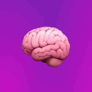 Александр Соколов | Сетка — социальная сеть от hh.ru