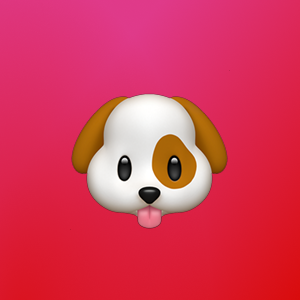 Лада Ренёва | Сетка — социальная сеть от hh.ru