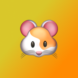 Ильнар Хусаинов | Сетка — социальная сеть от hh.ru