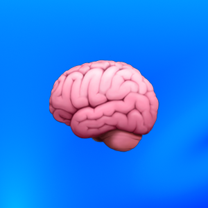 Анна Ломакина | Сетка — социальная сеть от hh.ru