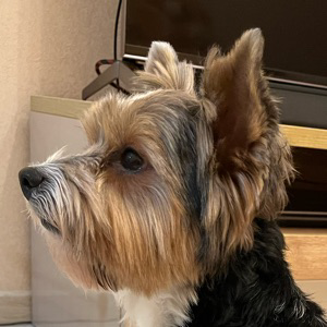 Ирина Петрова