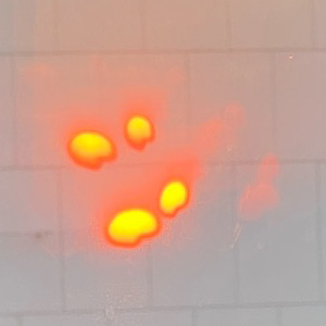 Александр Дмитриев