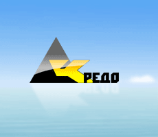 company logo