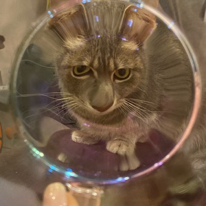 Катя Еремеева | Сетка — социальная сеть от hh.ru